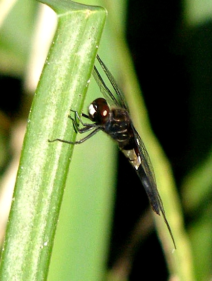 e0064158_014520.jpg