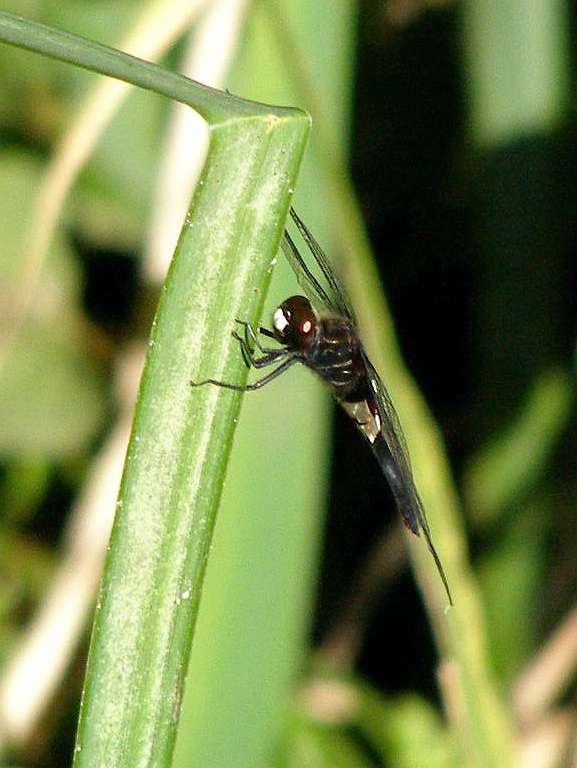 e0064158_0162797.jpg