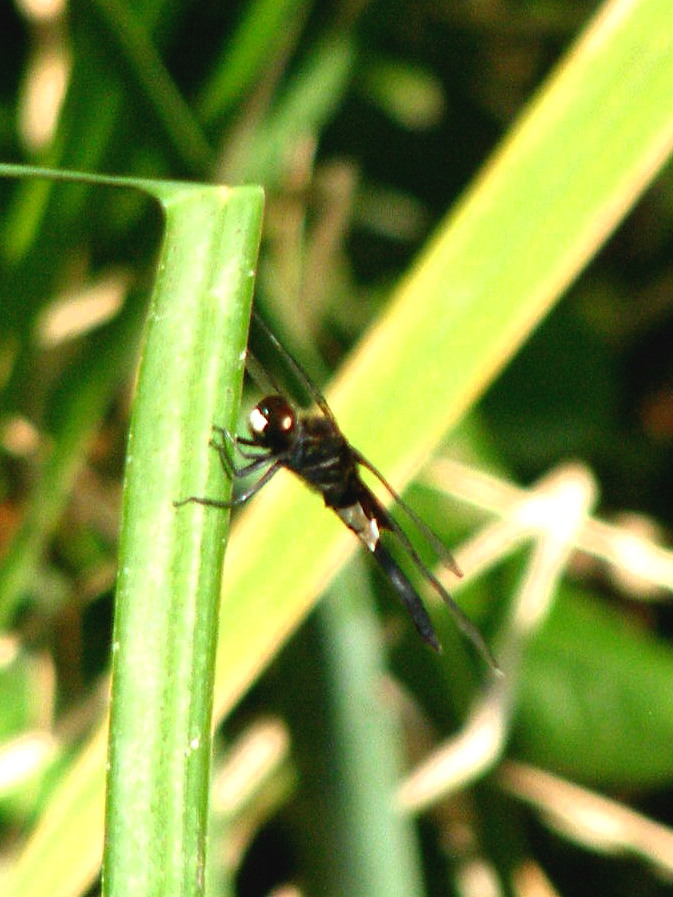 e0064158_0164247.jpg