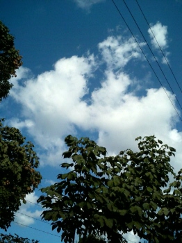 b0044663_15145056.jpg