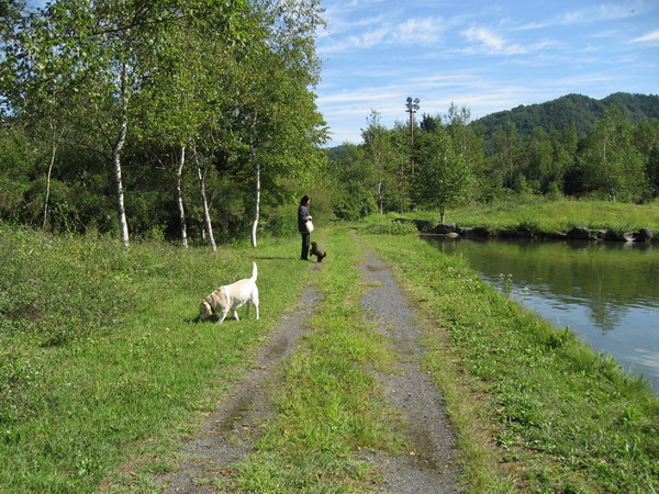 c0084268_7183956.jpg