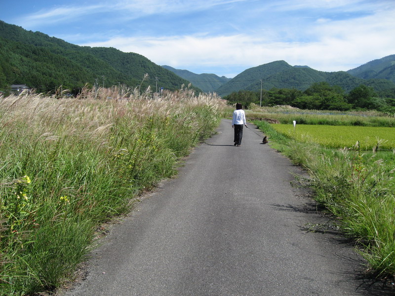 c0084268_7235724.jpg