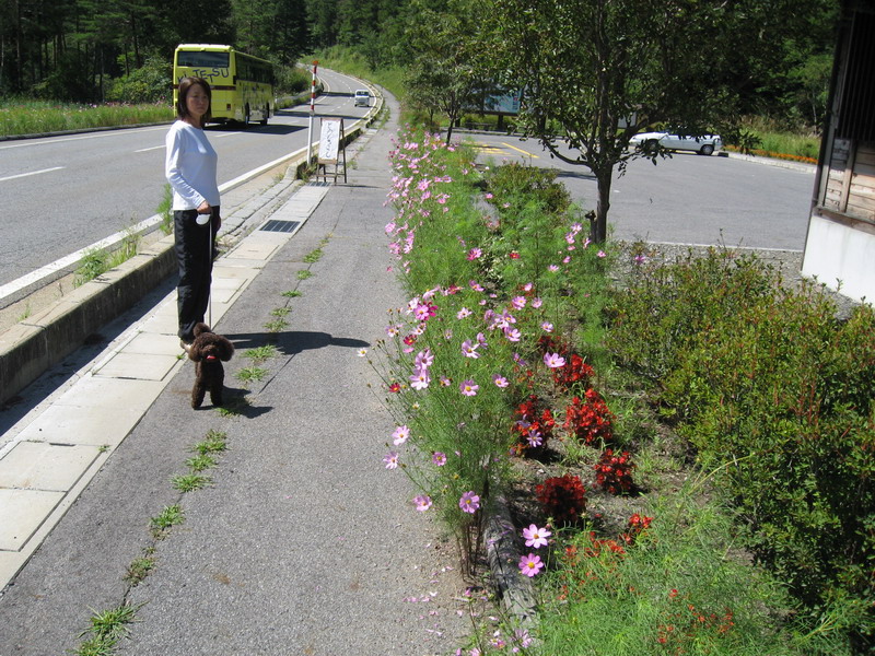 c0084268_7261642.jpg