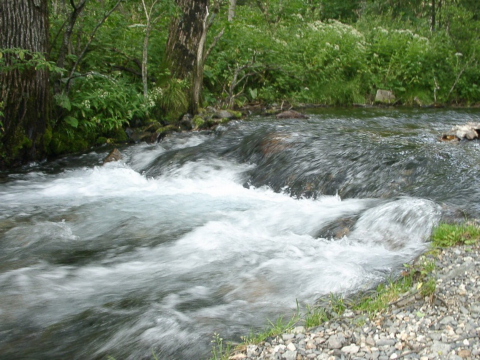 a0079880_1532625.jpg