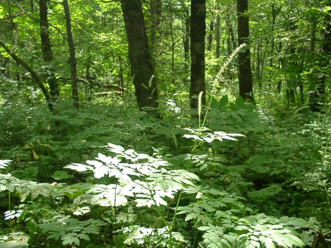 a0079880_15333220.jpg