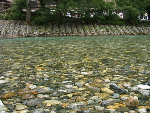 a0079880_15403847.jpg