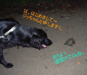 f0045283_13314999.jpg