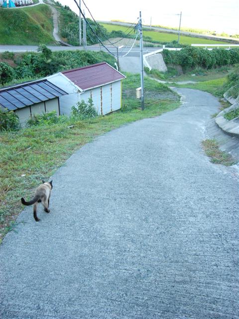 b0025884_07685.jpg