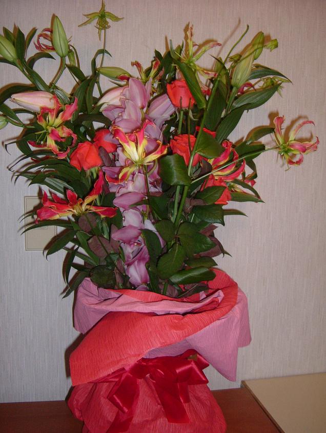 c0015589_17564486.jpg