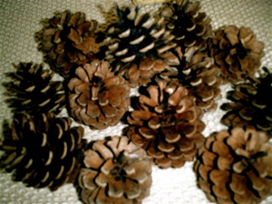 a0079292_14551450.jpg