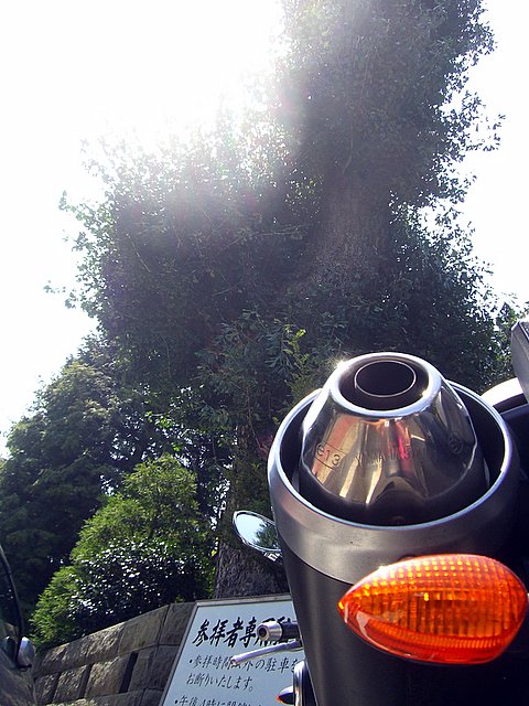 d0010496_1212956.jpg