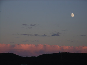 a0059206_18544074.jpg