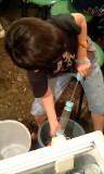 c0004211_1249569.jpg
