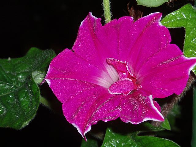 c0086014_6561964.jpg