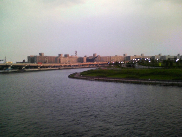 a0077616_207294.jpg