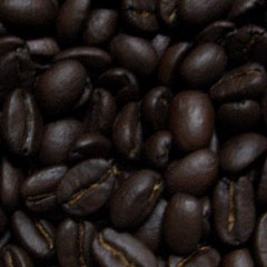 c0036617_2083467.jpg