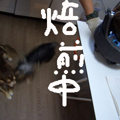 c0036617_2084483.jpg