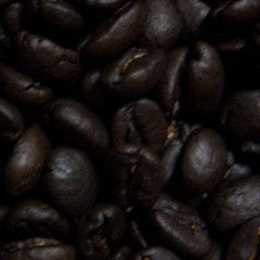 c0036617_208996.jpg