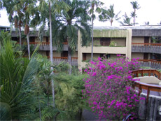 b0034422_16555571.jpg