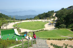 b0056924_12415128.jpg