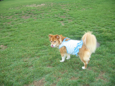 c0030624_22234980.jpg