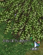 d0079026_20441872.gif
