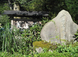 b0035734_19185011.jpg