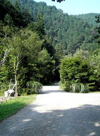 b0035734_19191925.jpg