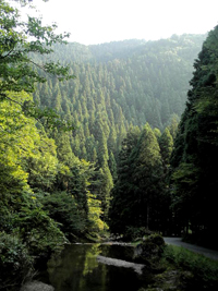 b0035734_19222969.jpg