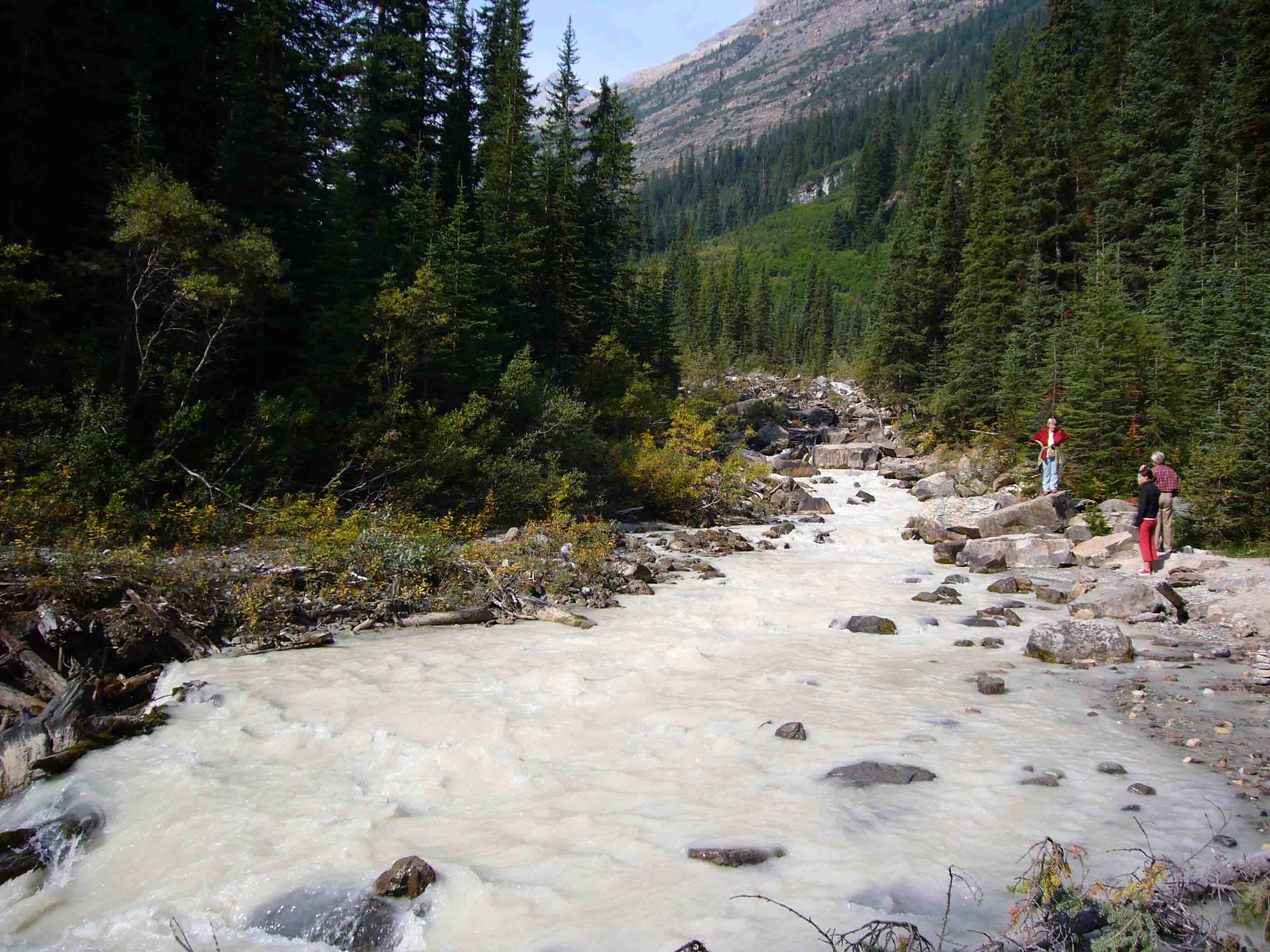 c0077835_821490.jpg
