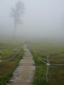 f0065941_13392614.jpg