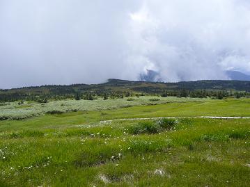 f0065941_1353229.jpg