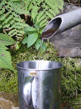 f0065941_13545494.jpg
