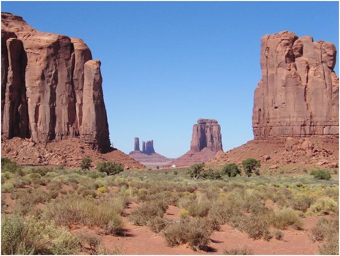 e0029451_2192066.jpg