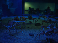 b0072758_23205844.jpg