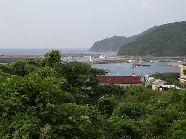 b0104861_18501544.jpg