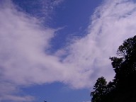 c0022767_21391574.jpg