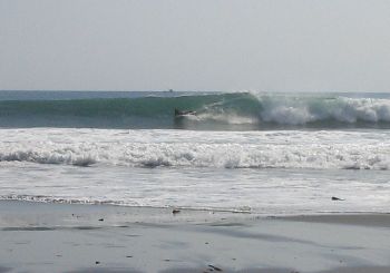 f0042571_0205357.jpg