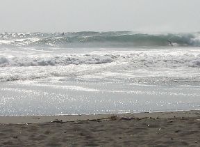 f0042571_0444526.jpg