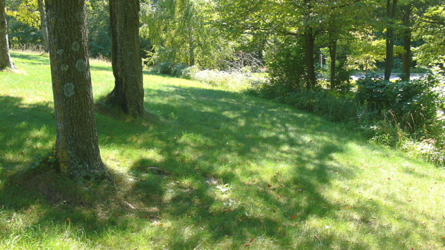 a0018572_1324991.jpg