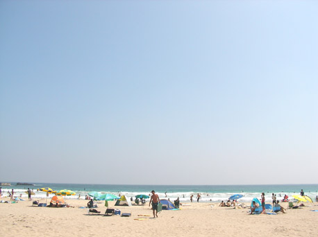 f0000673_0491174.jpg