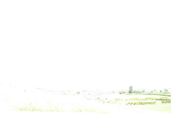 a0046686_23551314.jpg