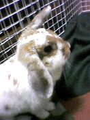 c0035386_0212156.jpg