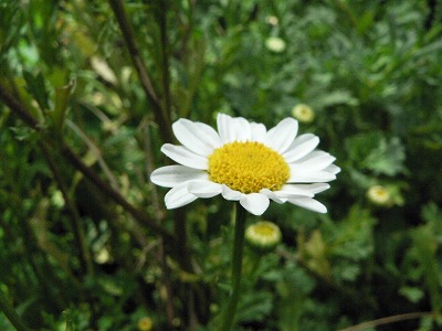 d0009689_21294965.jpg