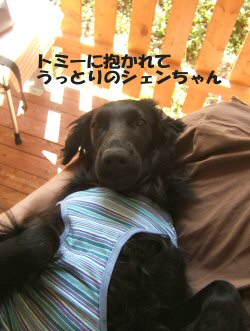 c0050400_1720465.jpg