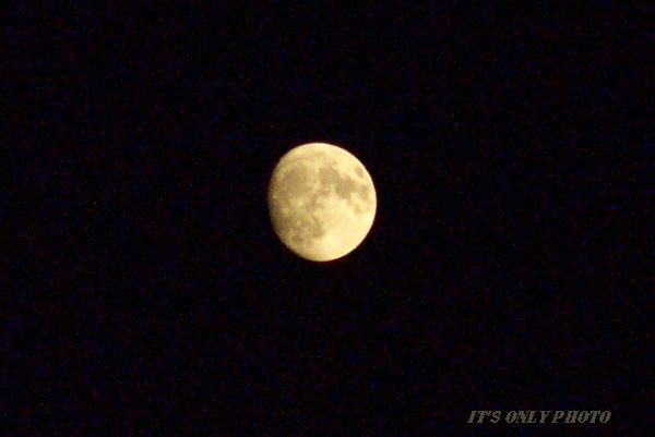 e0008800_1891219.jpg