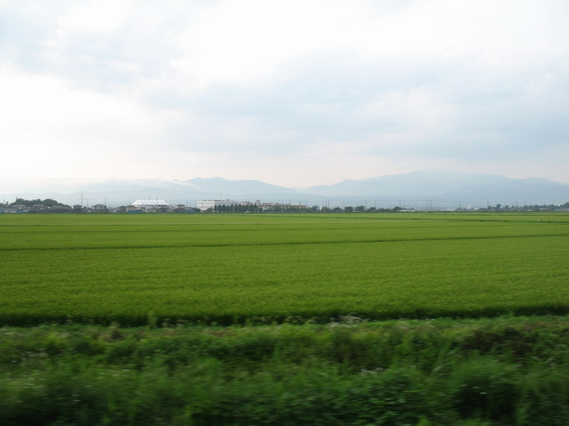 e0041400_19445063.jpg