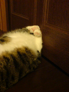 c0035001_14271167.jpg
