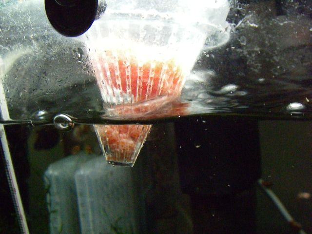 e0010301_16205458.jpg