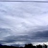 a0066510_22515311.jpg